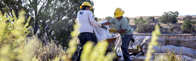 Two members help each other lift an object with plants in the foreground