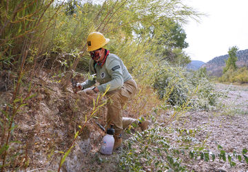 621 Al20 Gsep Private Lands Treatment Fl20 A Action2 1 1