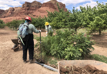 Al19 Nps Pefo Glca Lonely Dell Fl20 A Action1