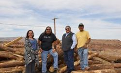 Four people stand on a woodpile