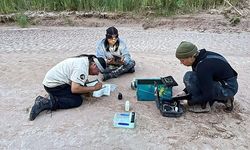 Participants record project data while sitting in a campsite area that was cleared of encroaching vegetation.