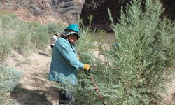 Alcc Crew Lead Encroachment Mitigation Crm243