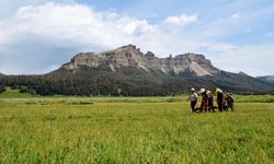 Wind River Crews