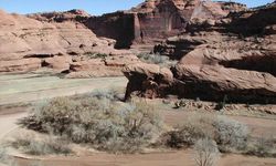 75Cb177B 414D 4540 9Ede De7E4Aea3Add Hi Res Proxy