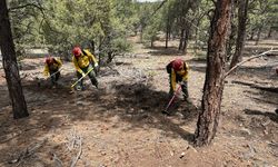 618 Forest Stewards Guild Training Fl25 A Action C Large