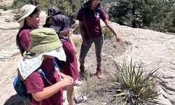 Photo Jun 17 2024 11 24 05