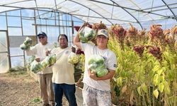 Acoma Farm Corps